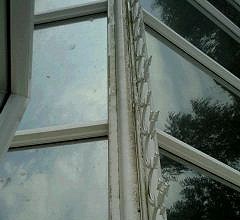 Before Conservatory Cleaning in Bromley and Beckenham